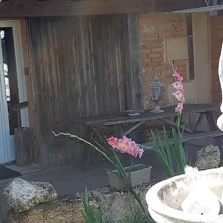 Maison * Lesparre-Médoc